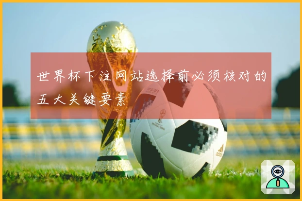 世界杯下注网站选择前必须核对的五大关键要素
