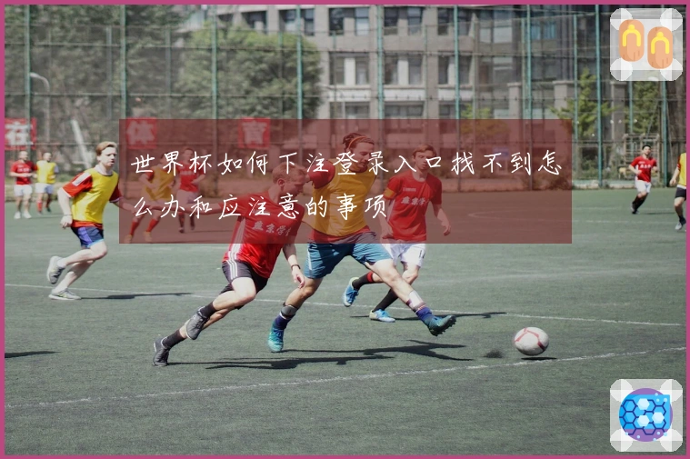 世界杯如何下注登录入口找不到怎么办和应注意的事项