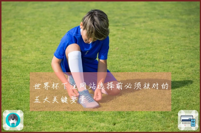 世界杯下注网站选择前必须核对的五大关键要素
