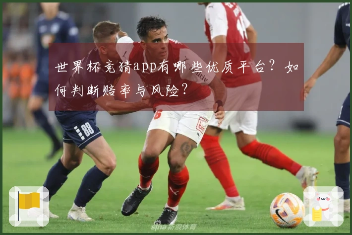 世界杯竞猜app有哪些优质平台？如何判断赔率与风险？